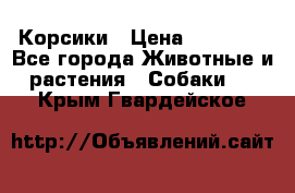 Корсики › Цена ­ 15 000 - Все города Животные и растения » Собаки   . Крым,Гвардейское